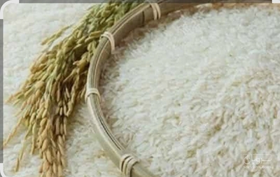فروش برنج طارم هاشمی