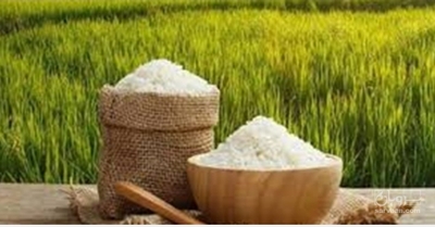فروش برنج طارم هاشمی