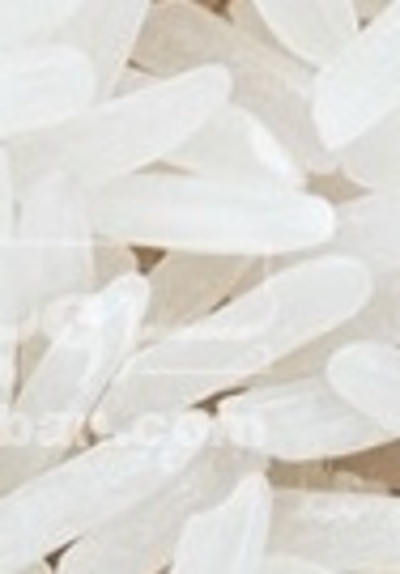 فروش برنج کامفیروزی