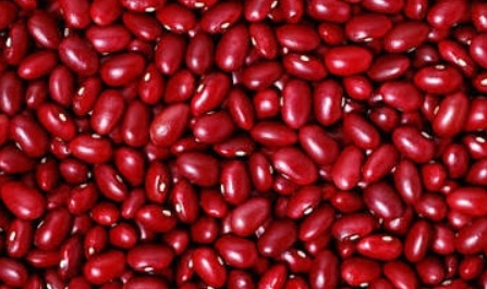 فروش لوبیا قرمز