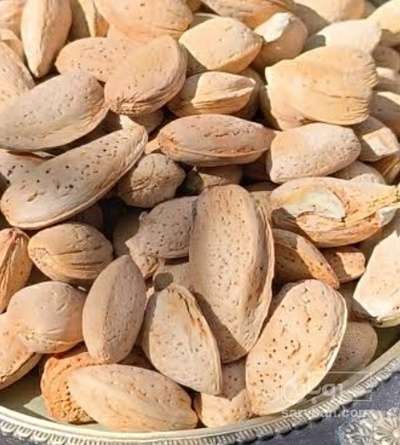 فروش بادام