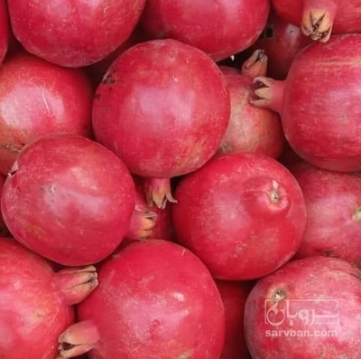 فروش انار