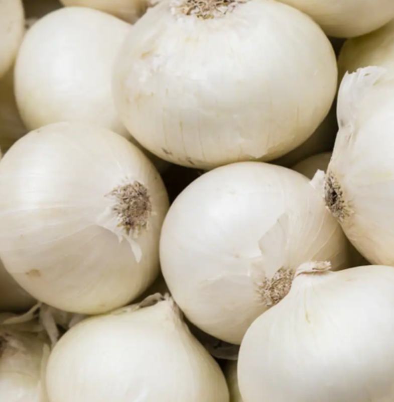 فروش پیاز سفید