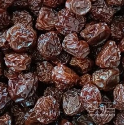 فروش آلو سیاه | سروبان