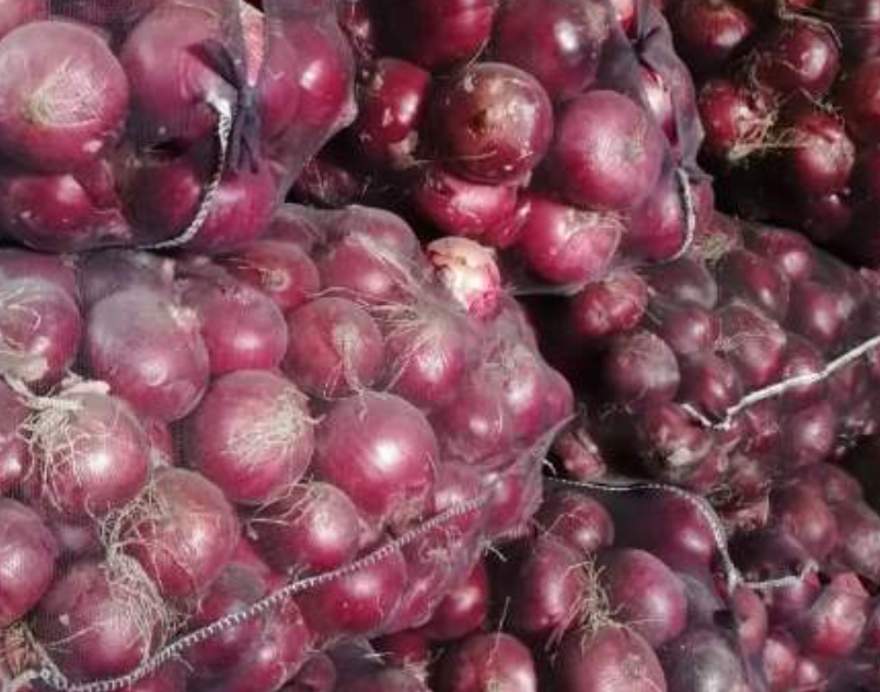 فروش پیاز قرمز