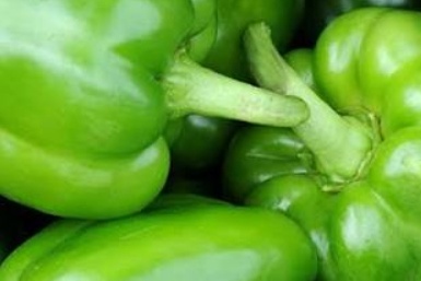 فروش فلفل دلمه ای سبز