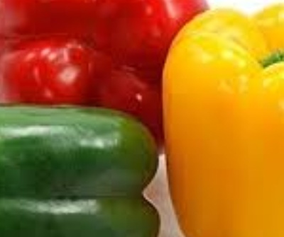 فروش فلفل دلمه ای