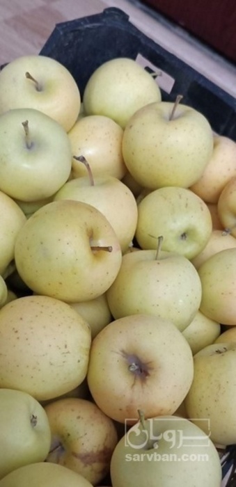 فروش سیب زرد