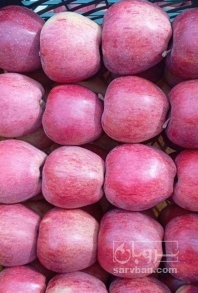 فروش سیب قرمز