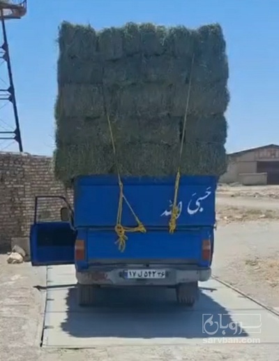 فروش کاه و کلش گندم