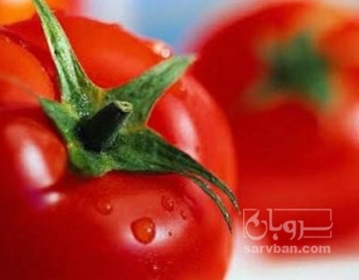 فروش گوجه فرنگی