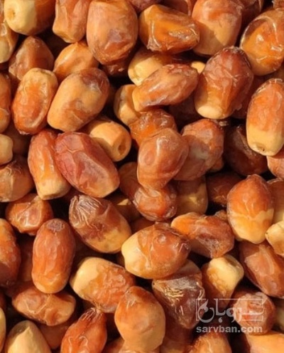 فروش خرما زاهدی | سروبان