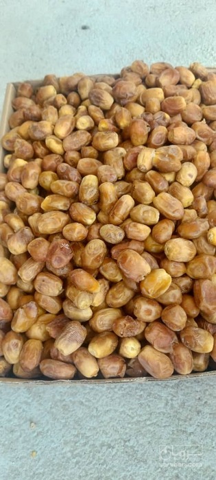 فروش خرما | سروبان