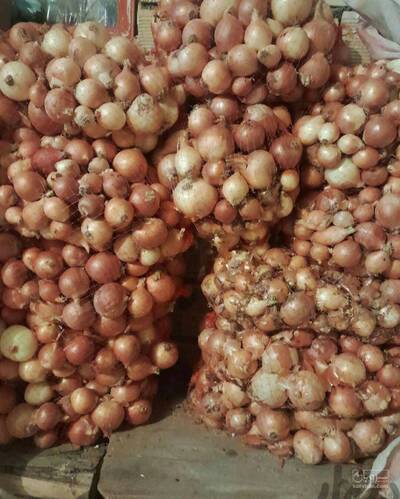 فروش پیاز زرد