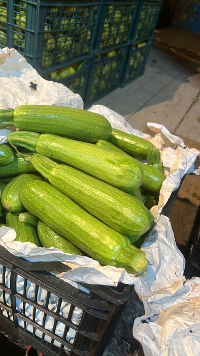 فروش کدو  سبز