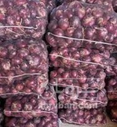 فروش پیازقرمز