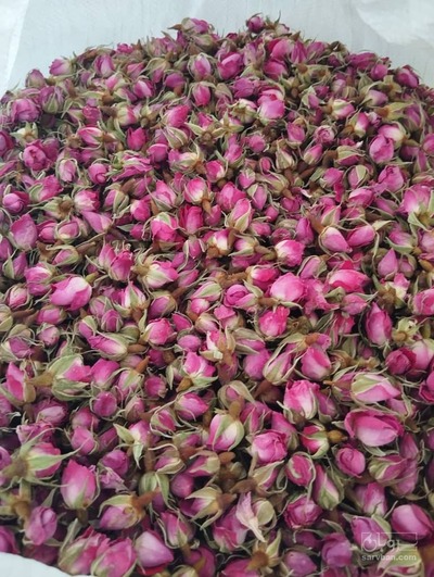 فروش غنچه گل محمدی