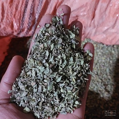 فروش برگ آویشن