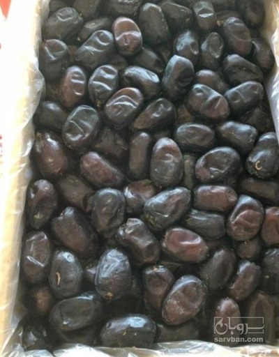 فروش خرما