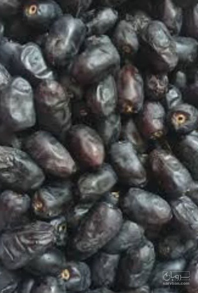 فروش خرما مضافتی