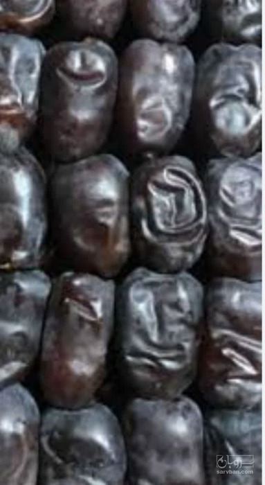 فروش خرما مضافتی