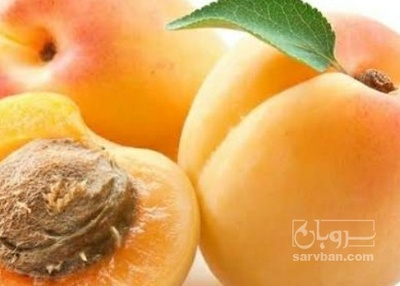 فروش زردآلو