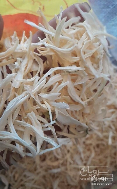 فروش پیاز خشک