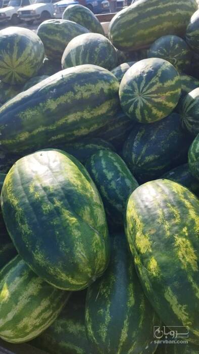 فروش هندوانه