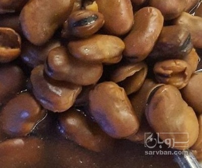 فروش باقلا تازه - باقالی - باقالا