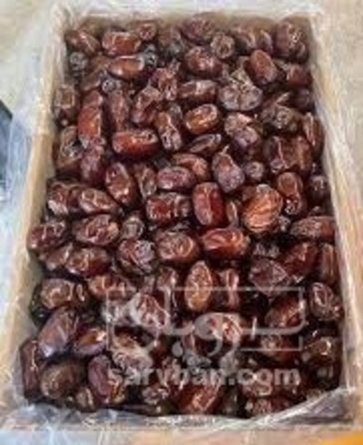 فروش خرما کلوته