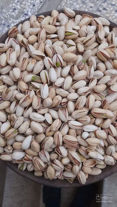 فروش پسته