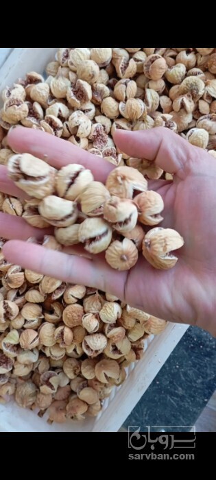 فروش انجیر خشک