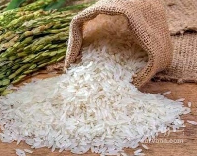 فروش برنج کامفیروزی
