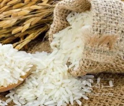 فروش برنج عنبر بو