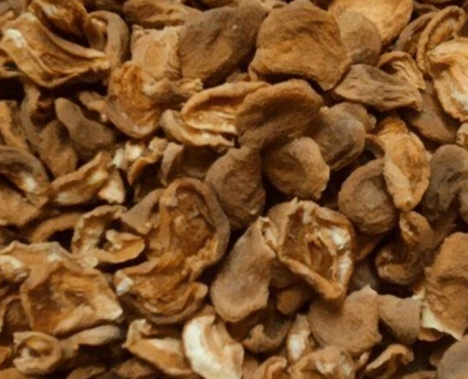 فروش برگه قیسی