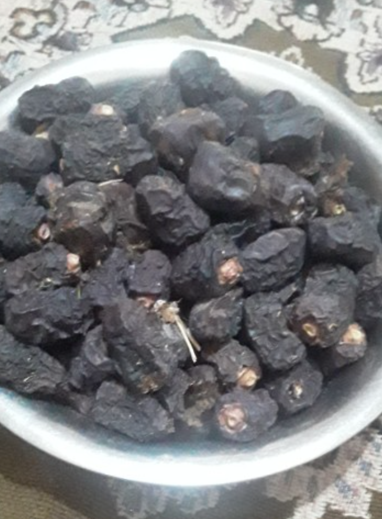 فروش خرما ضایعاتی