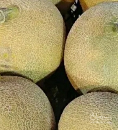 فروش ملون