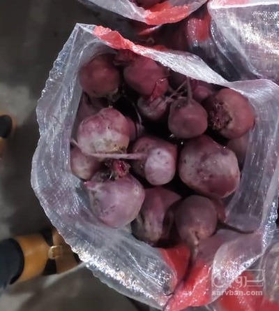 فروش چغندر لبو