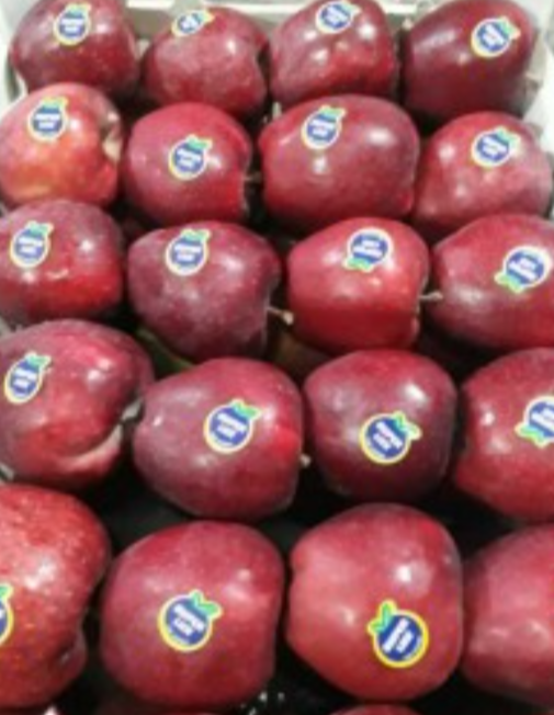 فروش سیب قرمز