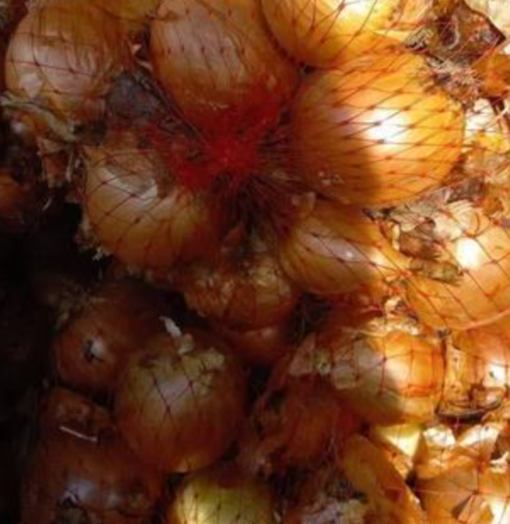 فروش پیاز زرد