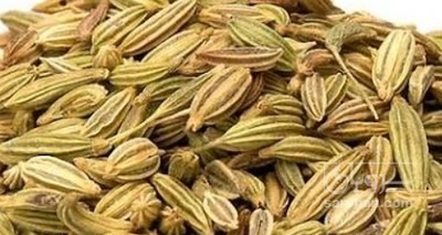 فروش رازیانه (گیاه‌ دارویی)