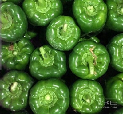 فروش فلفل دلمه ای