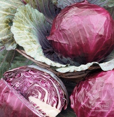 فروش کلم برگی قرمز