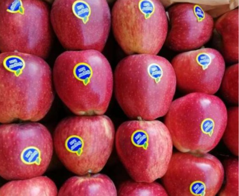 فروش سیب قرمز