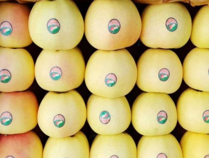 فروش سیب زرد