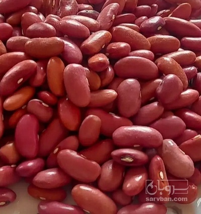 فروش لوبیا قرمز