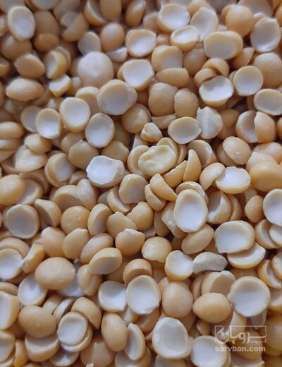 فروش نخود کفتری - لپه