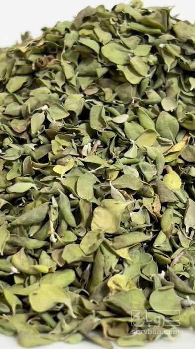 فروش آویشن خشک (گیاه‌ دارویی)