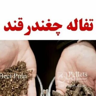 فروش تفاله چغندر فشنگی