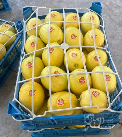 فروش لیمو سنگی